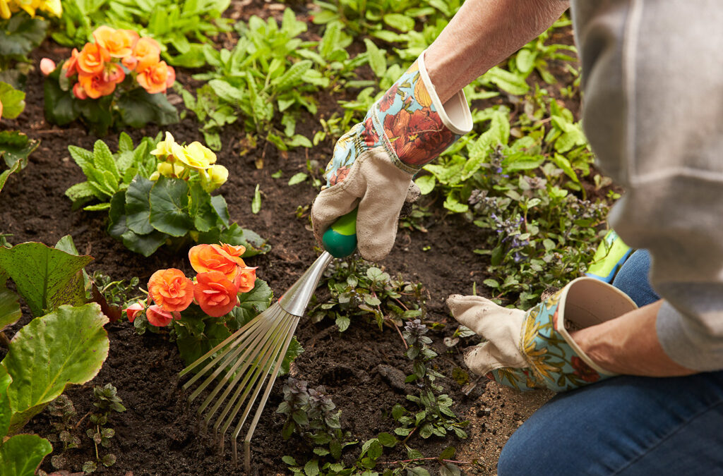 Garden Therapy at the Care Center.