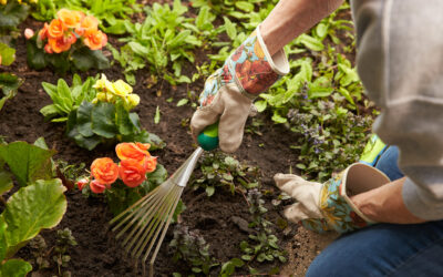 Garden Therapy at the Care Center.