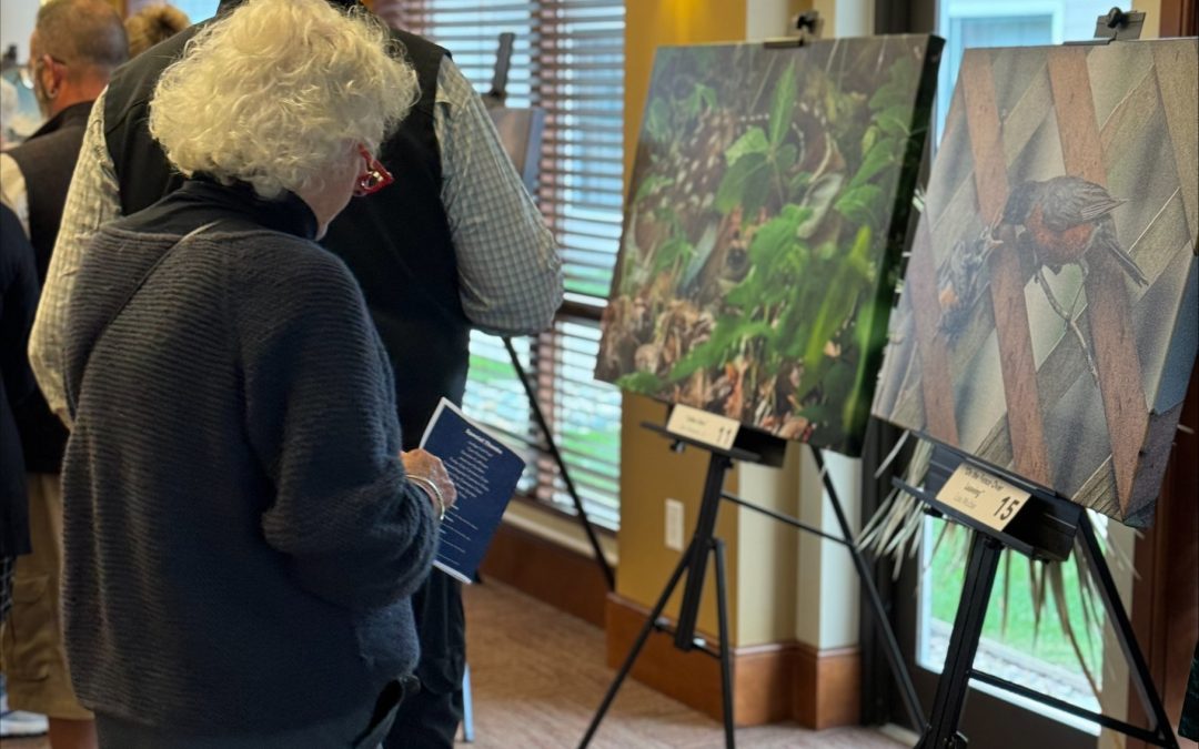 Resthaven Announces 2025 Photography Competition and Exhibit